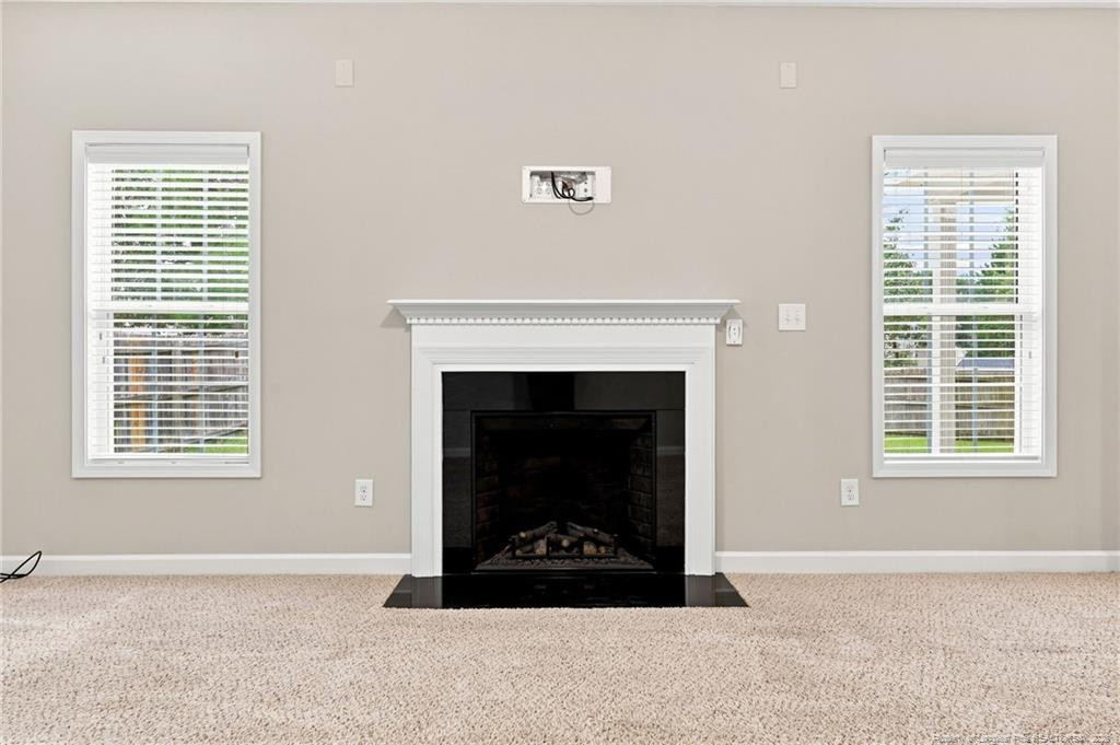 92 Colonist Place Property Photo 29