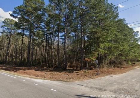 0 Pine Log Road Property Photo 1