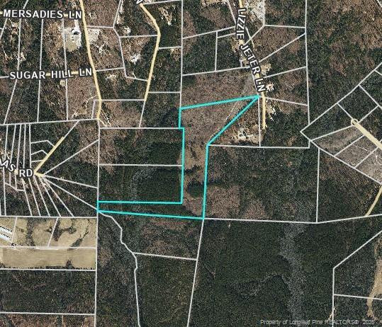 0 Lizzie Jeter Lane Property Photo 1