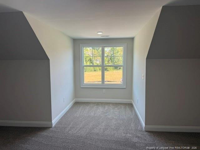 147 Croatoke Court Property Photo 21