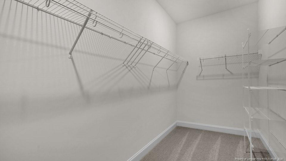 1121 Summer Daisy Drive Property Photo 64