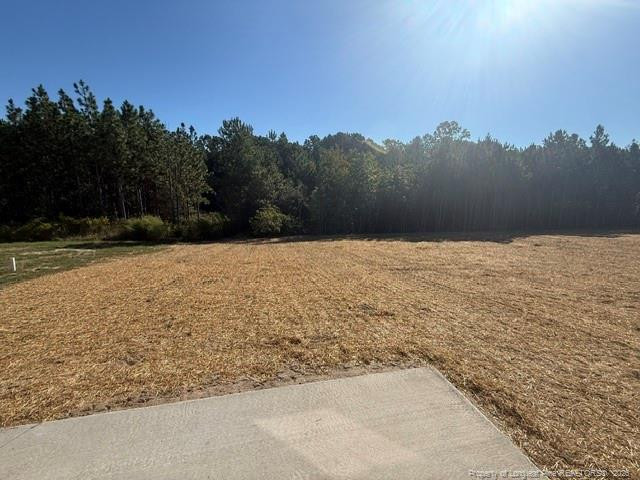 137 Pine Vista Way Property Photo 13