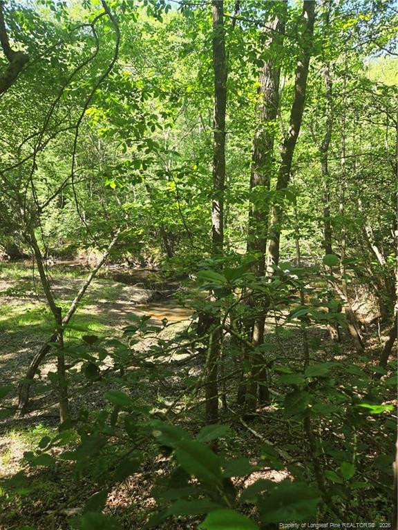 234 Circle Drive Property Photo 2