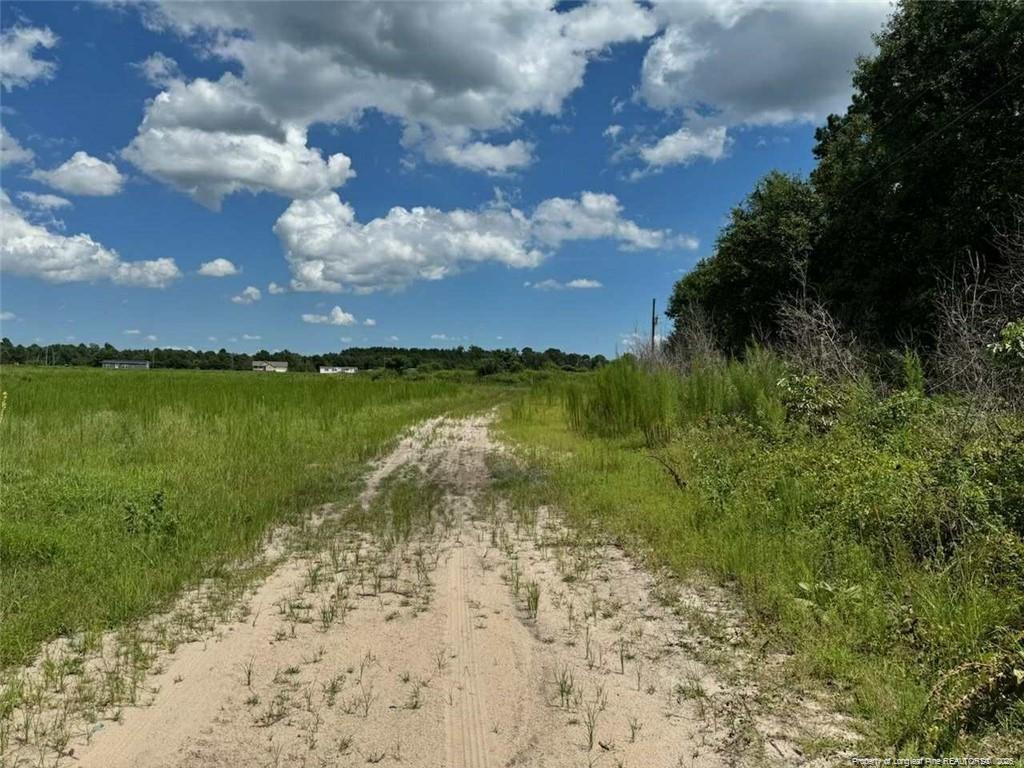 2898 Mcgirt Gin Road Property Photo 4