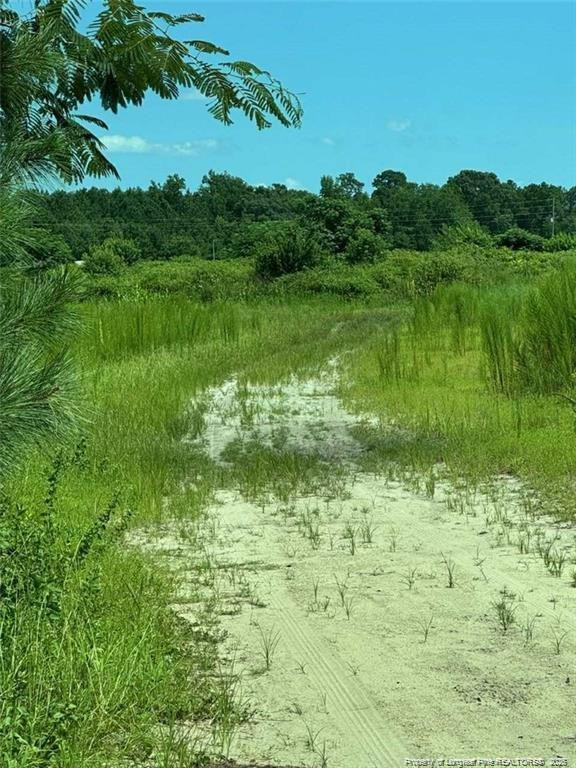 2898 Mcgirt Gin Road Property Photo 6
