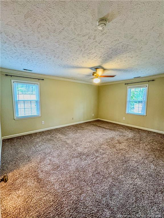 6874 Towbridge Road Property Photo 23