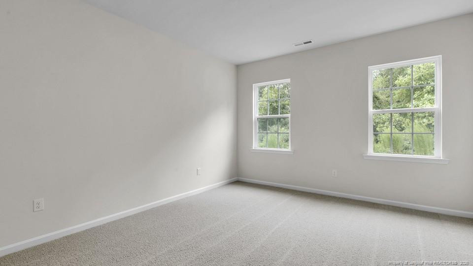 69 Firehawk Drive Property Photo 15