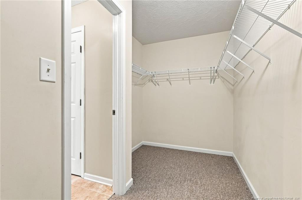 31 Lattimore Road Property Photo 29