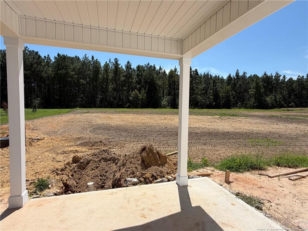 321 Thorntons Creek Drive Property Photo 6