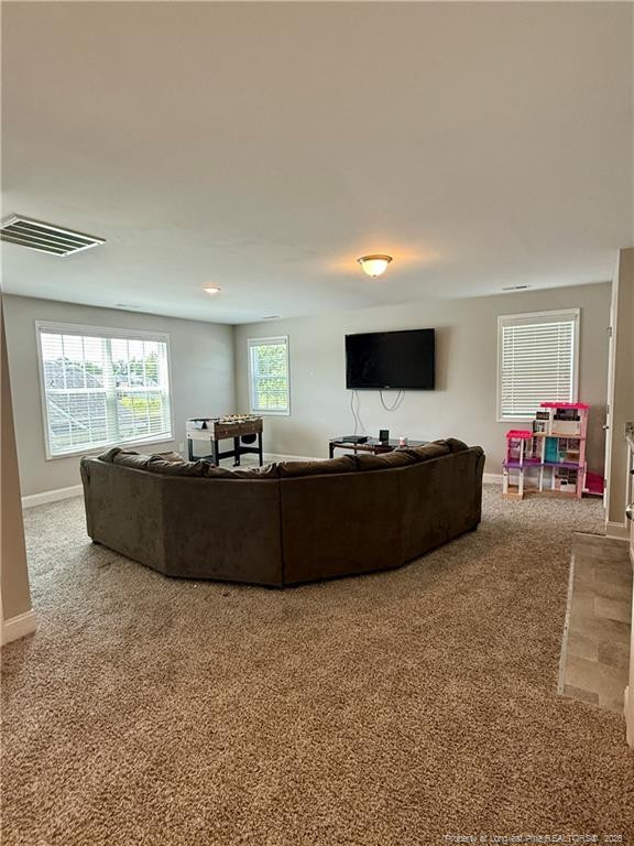 523 Bridgehaven Drive Property Photo 32