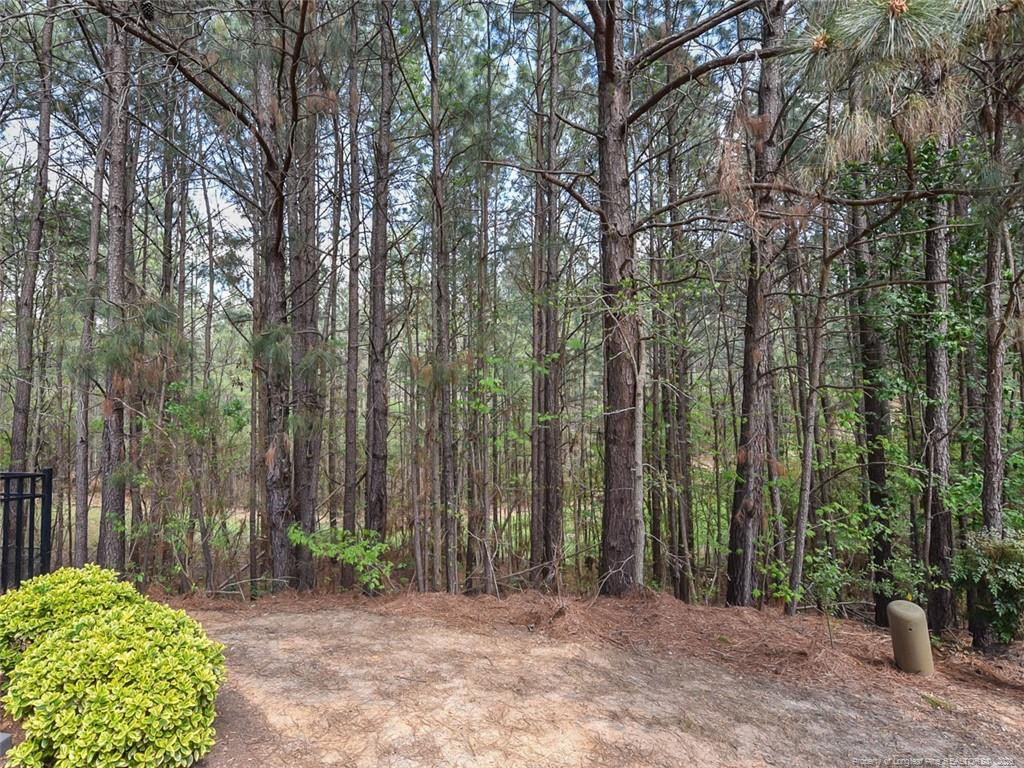 155 Cypress Hill Lane Property Photo 42