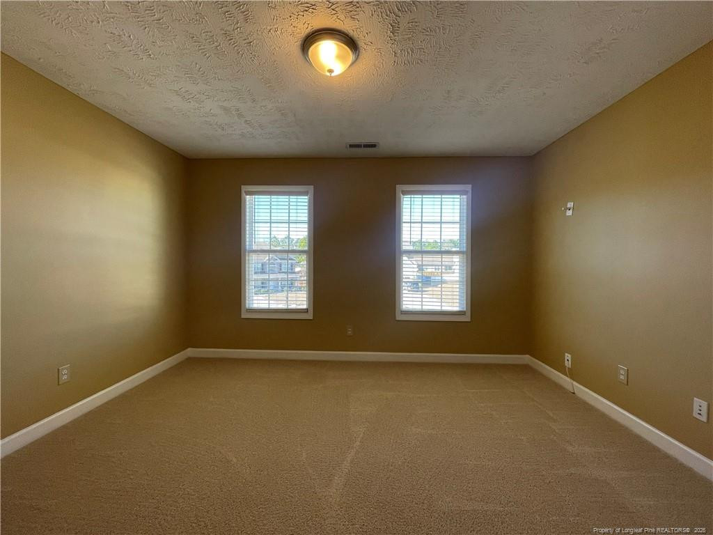 35 Historian Point Property Photo 21