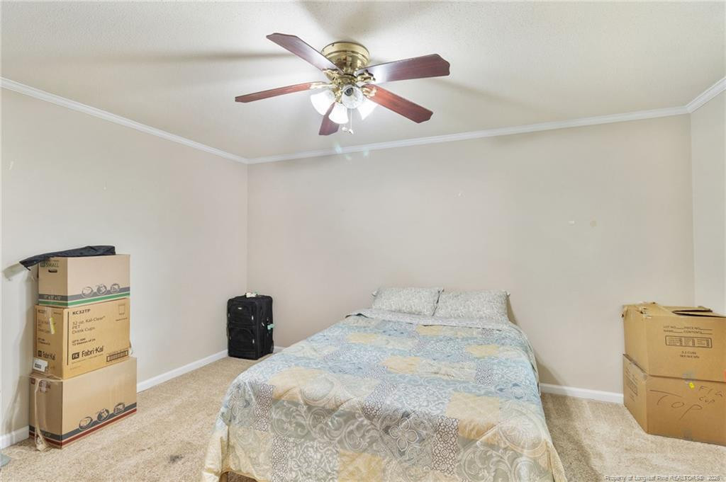 218 Rachel Road Property Photo 34