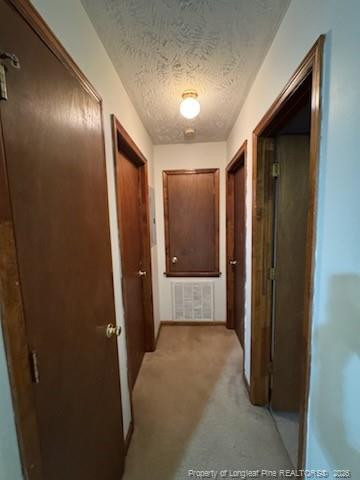 162 Eulon Loop A Property Photo 10