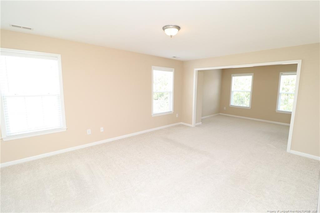 1015 Katie Lane Property Photo 26