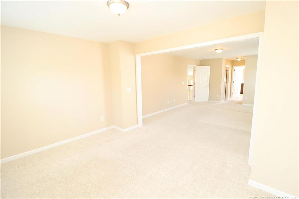 1015 Katie Lane Property Photo 29