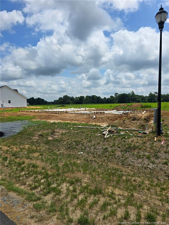 118 Margot Manor Drive Property Photo 3