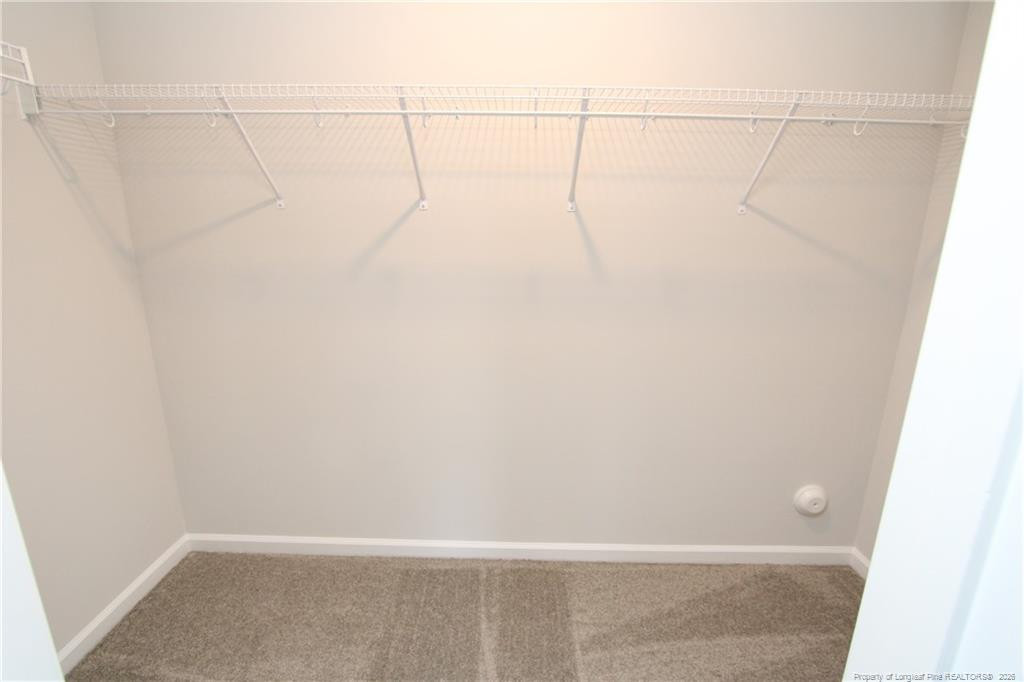 510 Light Oak Way Property Photo 20