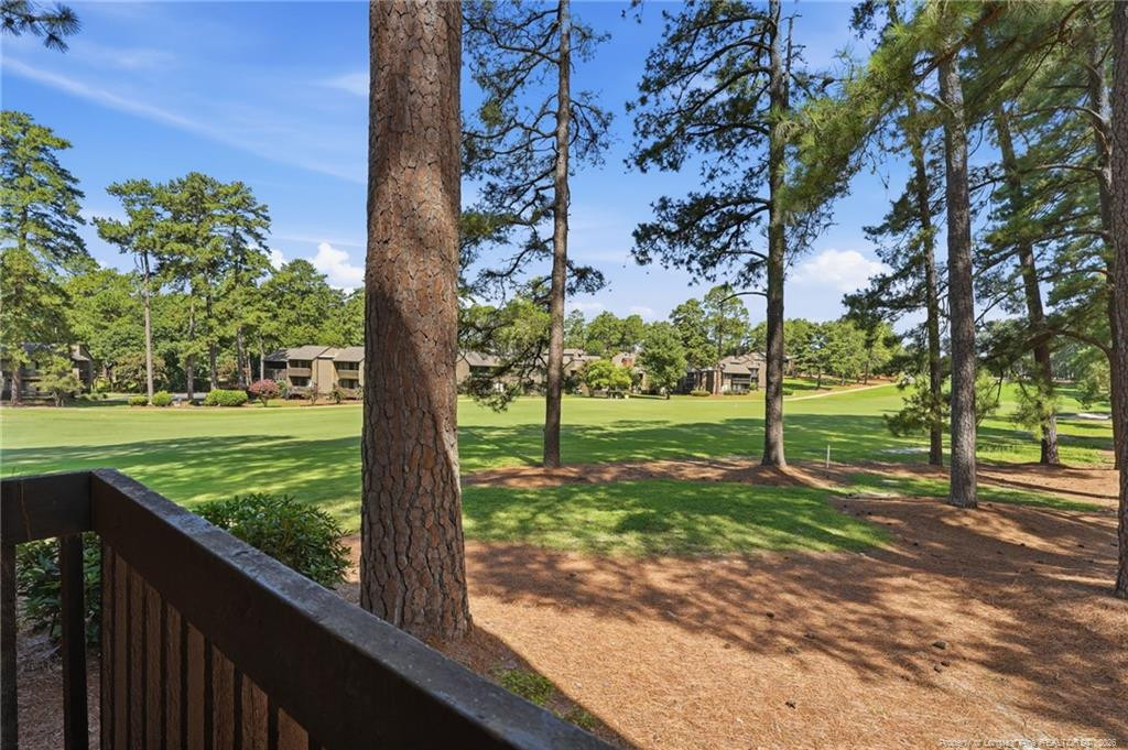5 Pine Tree Road 117 Property Photo 44