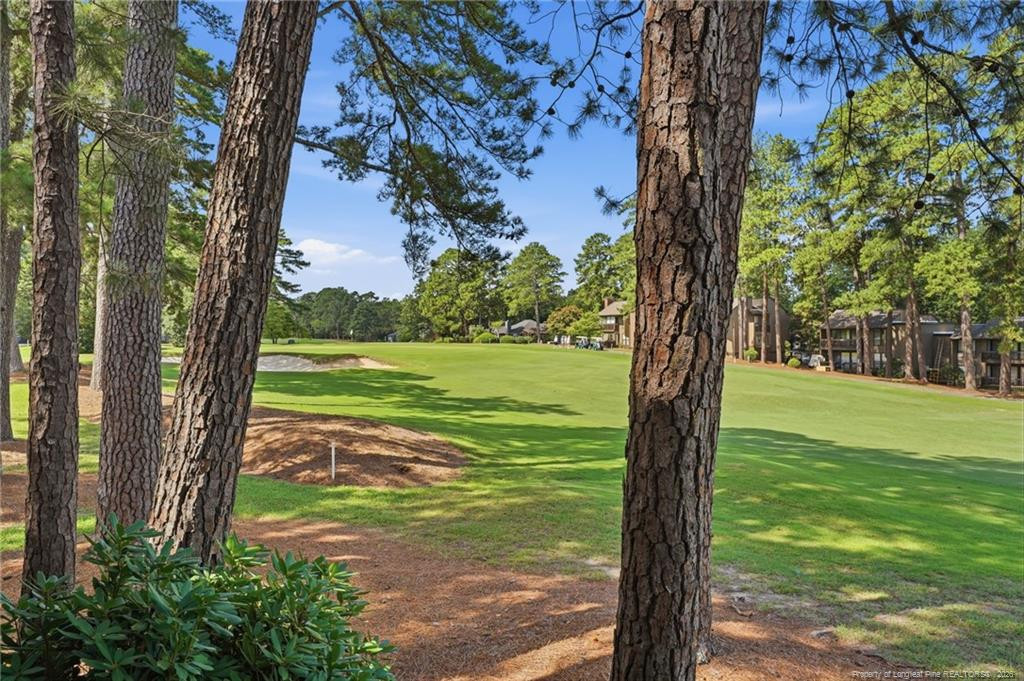 5 Pine Tree Road 117 Property Photo 45