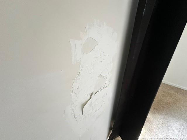 589 Atkinson Mill Road Property Photo 29