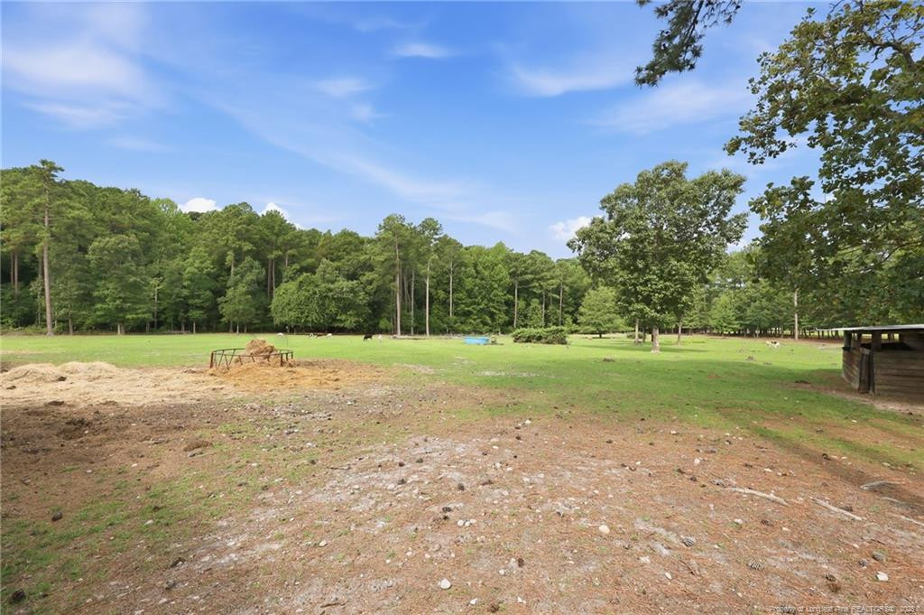 254 Docs Road Property Photo 44