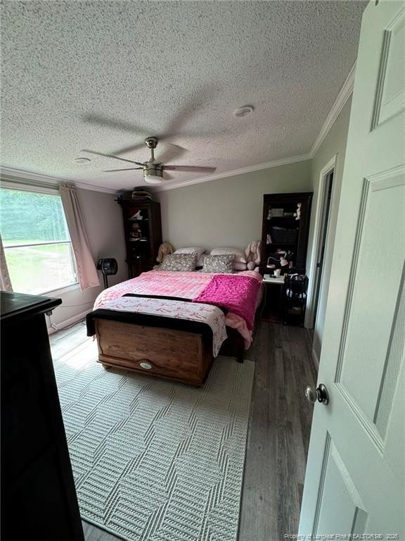 399 Ireland Drive Property Photo 20