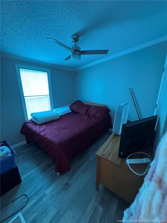 399 Ireland Drive Property Photo 23