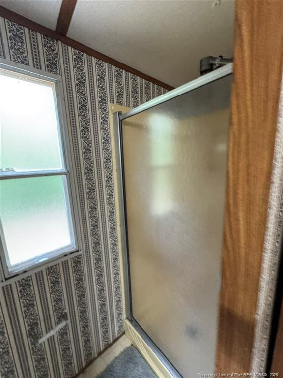399 Ireland Drive Property Photo 33