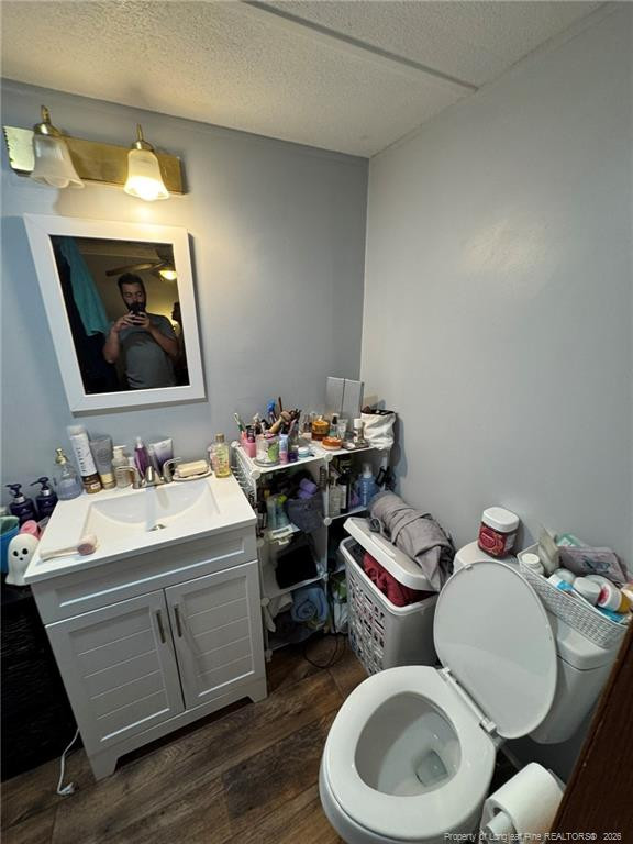 399 Ireland Drive Property Photo 44