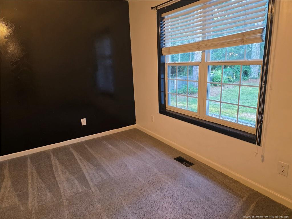 349 Moss Pink Drive Property Photo 15