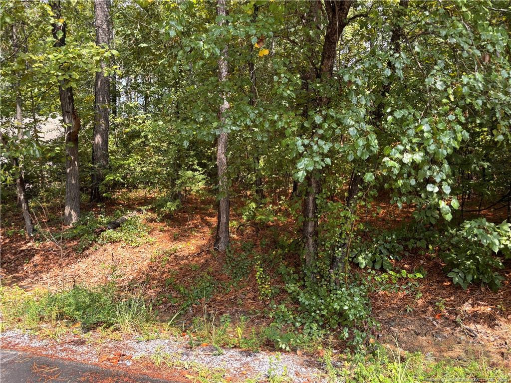 668 Chelsea Drive Property Photo 1