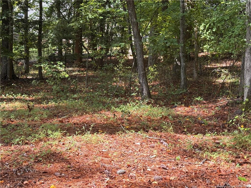 1532 Delaware Place Property Photo 1