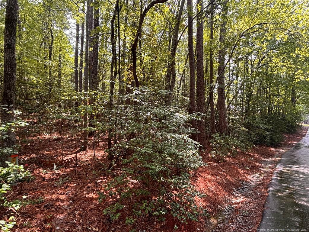 1452 Carolina Drive Property Photo 1