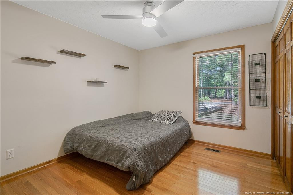 35 Lilly Loop Property Photo 16
