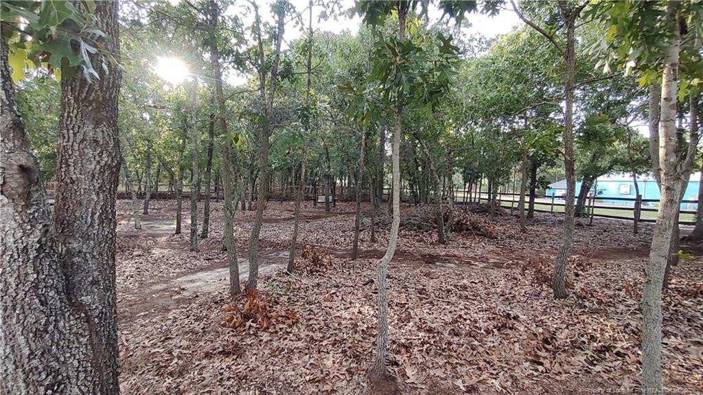 172 Addor Road Property Photo 16