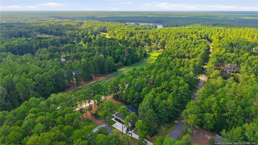30000 Loblolly Court Property Photo 43