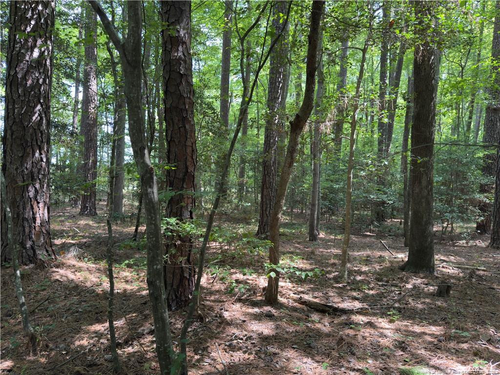 7047 Maple Circle Property Photo 1