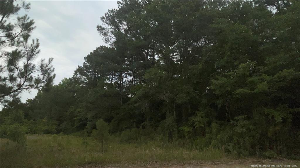 Sanderosa (0477-78-9254) Road Property Photo 1