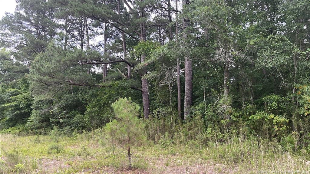 Sanderosa (0477-88-1702) Road Property Photo 1