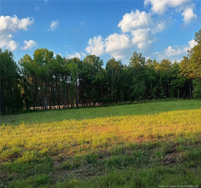 Tbd Myrtle Road Property Photo 1