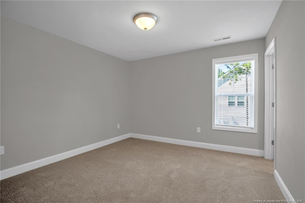 2815 Lemuel Black Road Property Photo 26