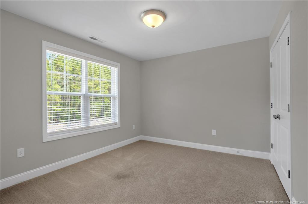 2815 Lemuel Black Road Property Photo 32