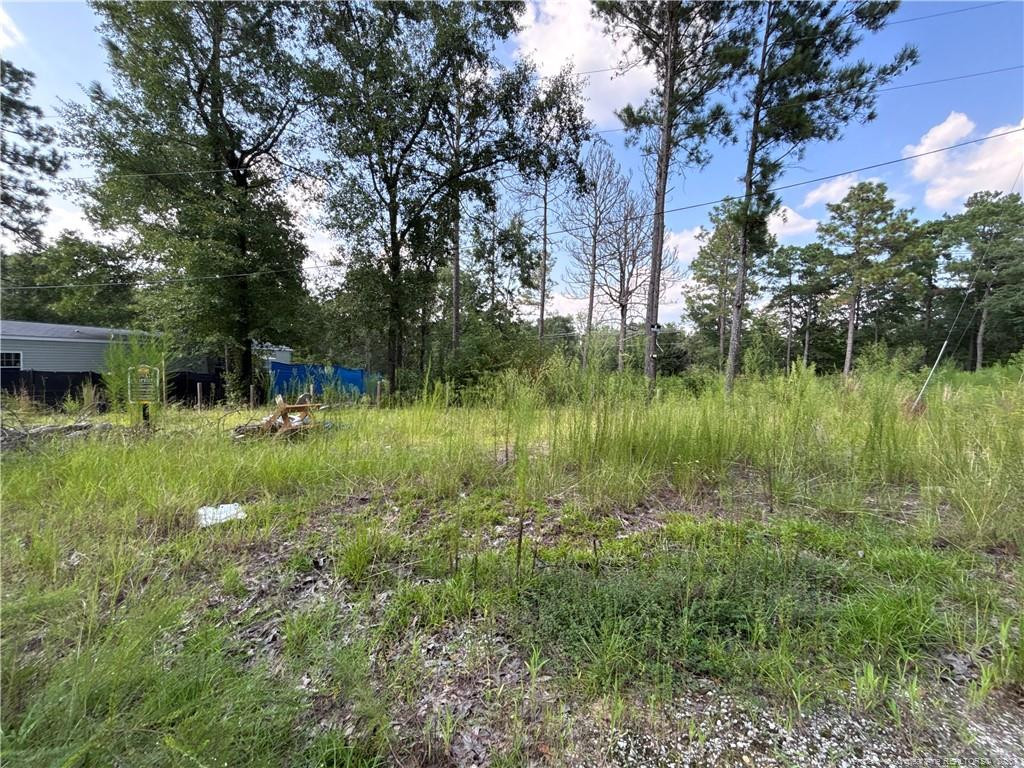 813 813 Wiregrass Road