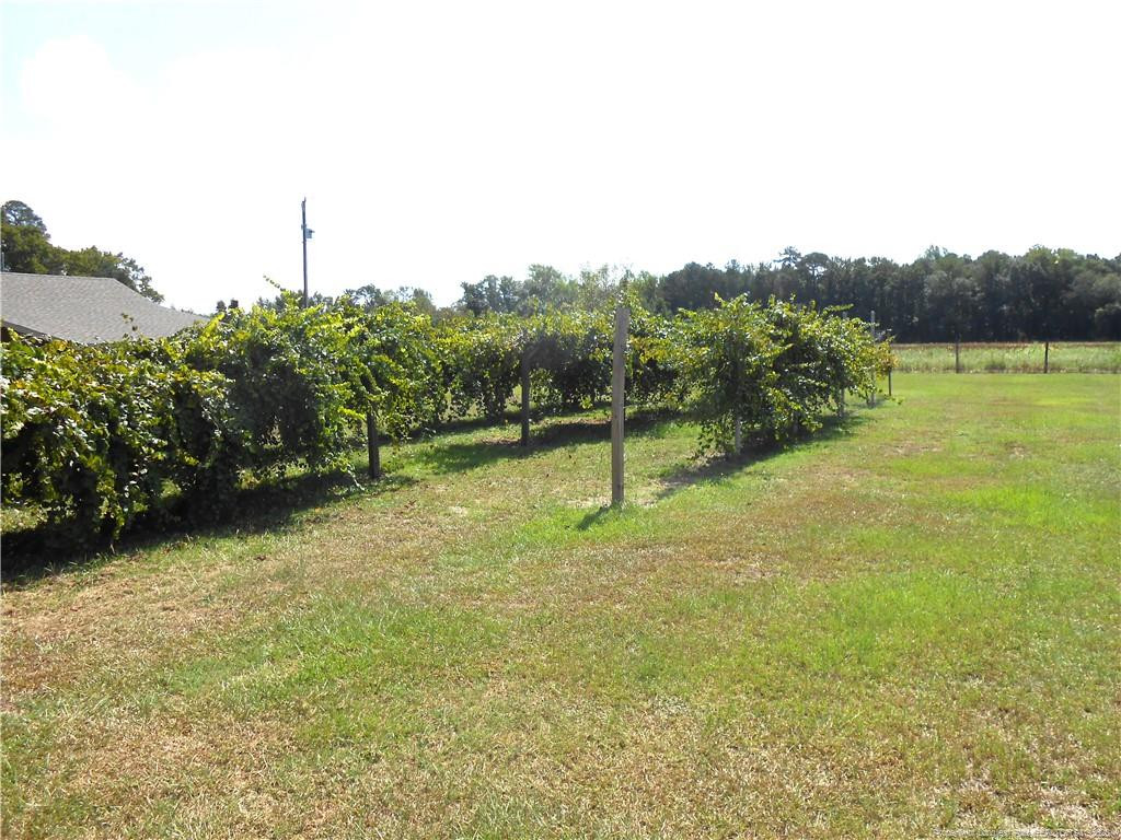 644 Lamb Road Property Photo 18
