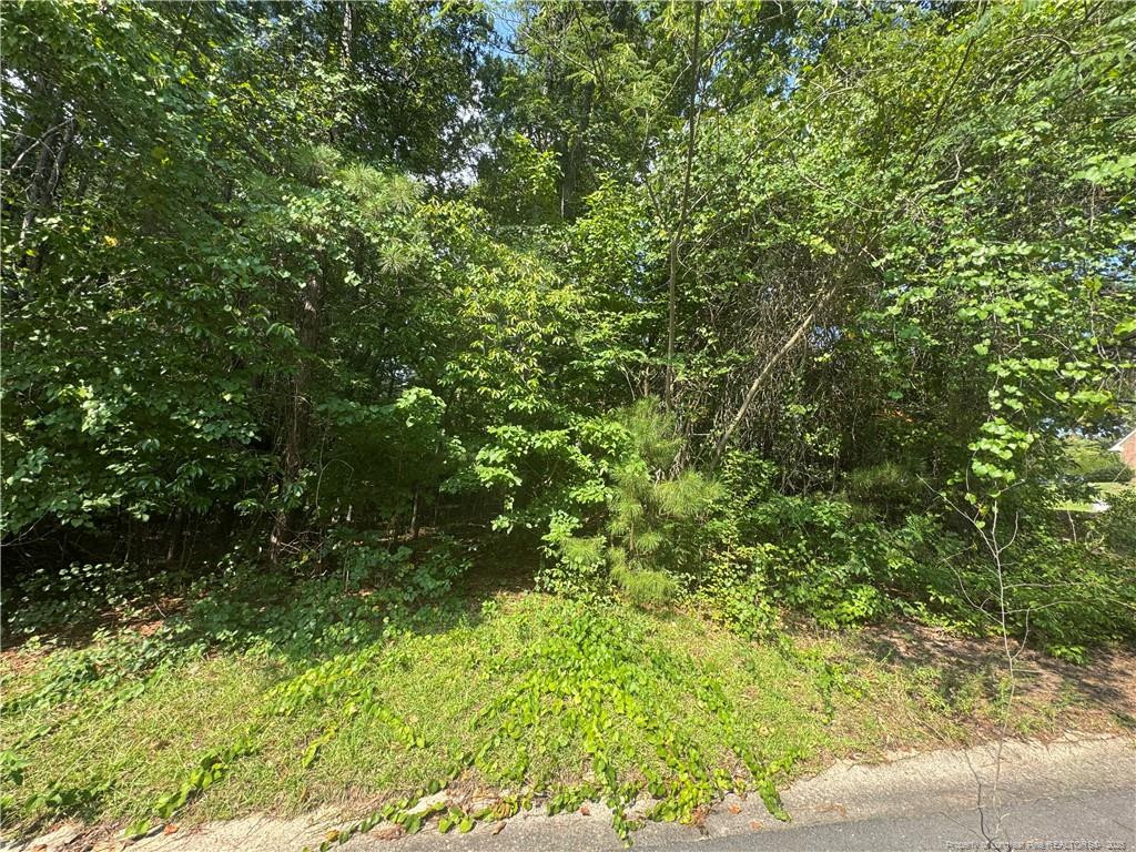 0 Stonington Drive Property Photo 1