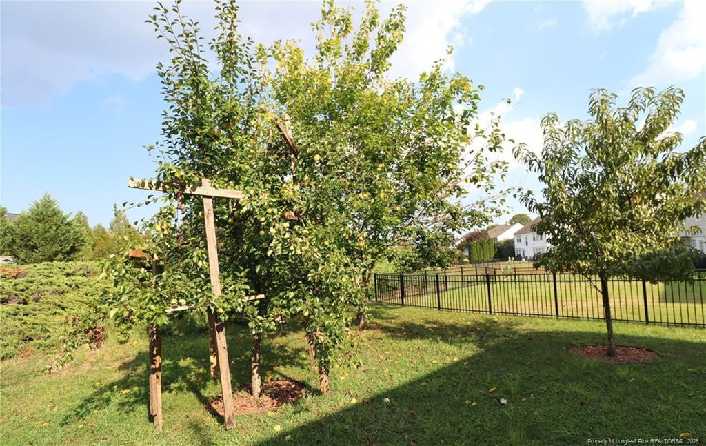 12554 Honeychurch Street Property Photo 41