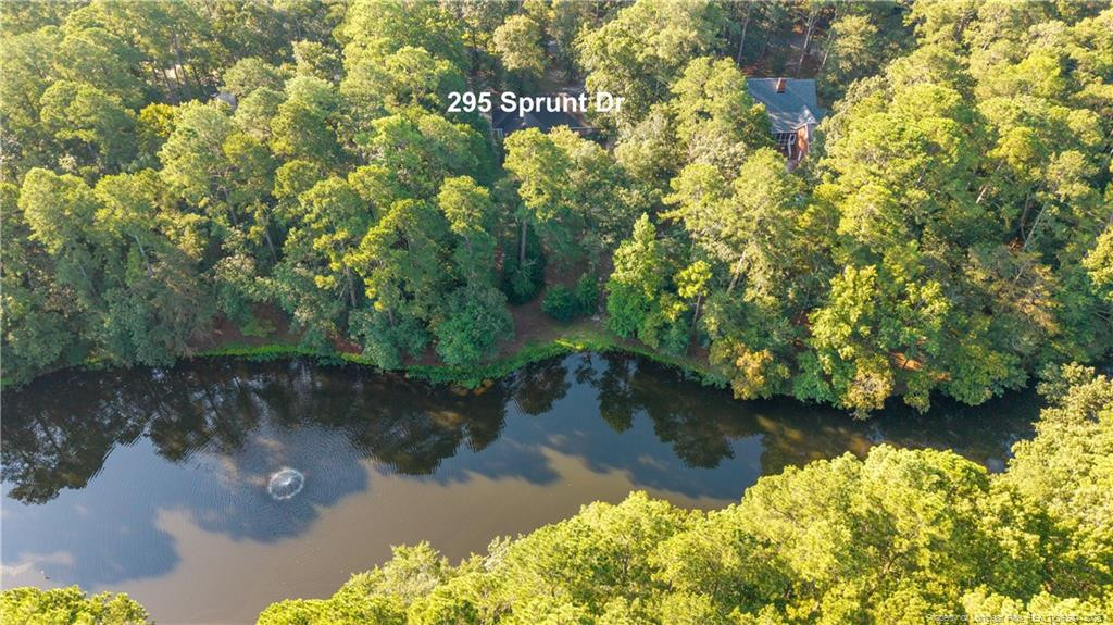 295 Sprunt Drive Property Photo 4