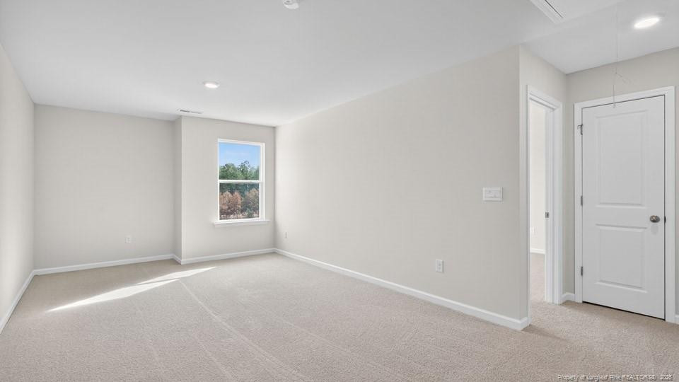49 Calebs Corner Place Property Photo 16