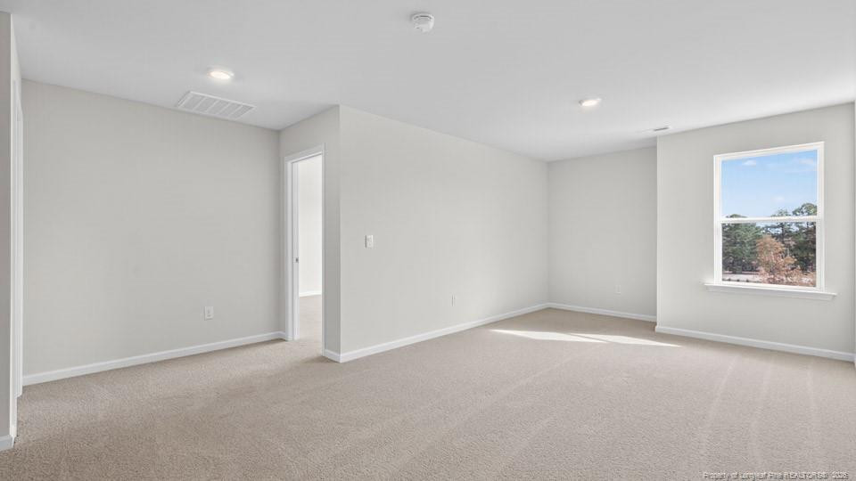 49 Calebs Corner Place Property Photo 17